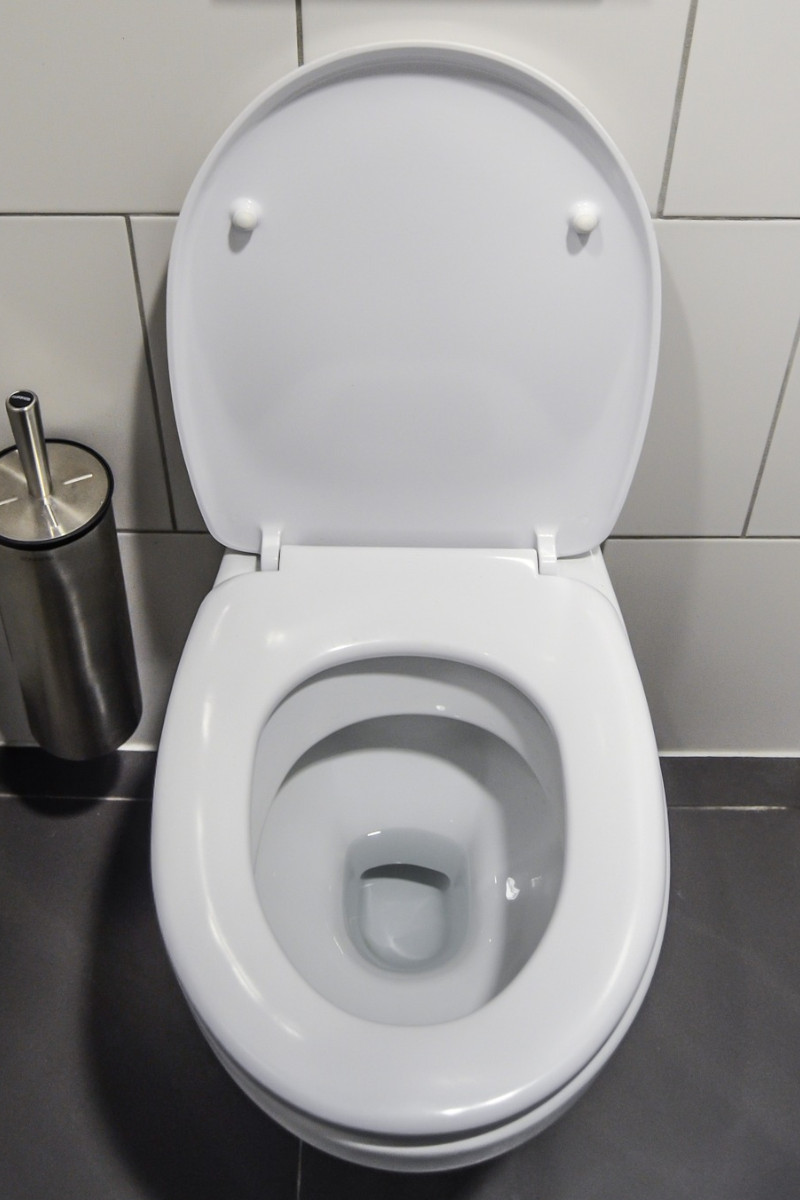 Blocked Toilet Shepherds Bush